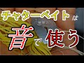 【チャター】スピナベとスイムジグの中間ではないよね【ブレイデッドジグ】