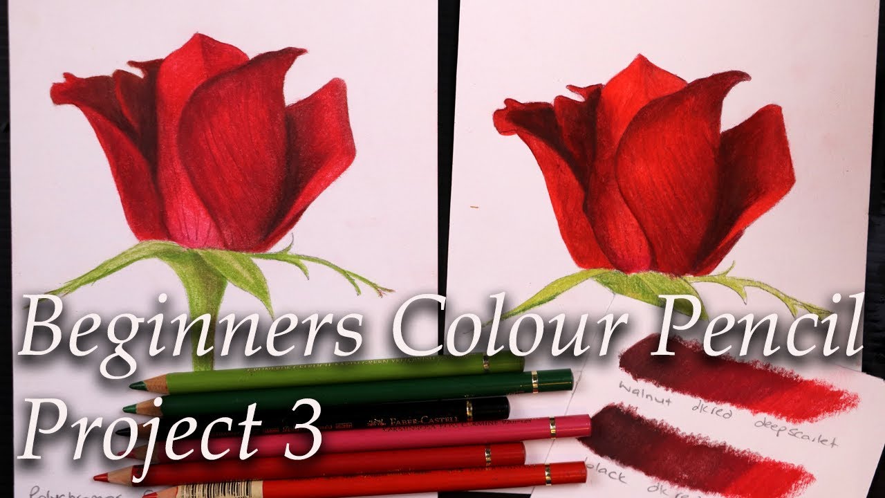 Watercolor Pencils Basics : Get Started with a Simple Fruit Painting, Francoise Blayac
