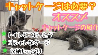 【オススメキャットケージ】猫を飼う時に必要な物トイレ一体型キャットケージ