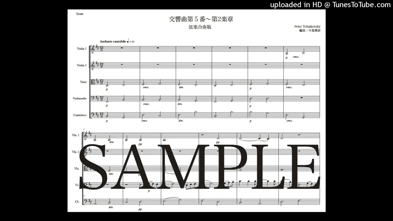 チャイコフスキー「交響曲第5番〜第2楽章」弦楽合奏版（編曲：中島雅彦