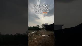 Umume Wong Lanang  trendingshorts kontenkreator pejuangrupiah