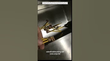 Fully Automatic Wire Terminal Crimping Machine Oem Applicators Terminal Both 2 Ends Press Crimping M