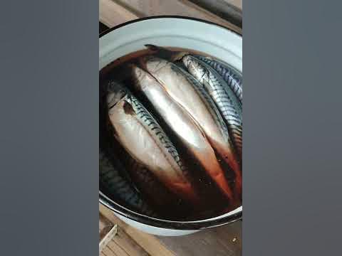 СКУМБРИЯ ГОРЯЧЕГО КОПЧЕНИЯ. - YouTube