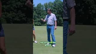 Hit Hybrids Pure Every Time – Beginner Friendly Tips