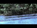 VideoClip_032_(Internet 480p widescreen)_001.mp4