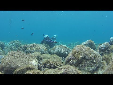 Spearfishing Shallow 🦀