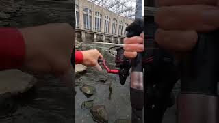 Fishing Conowingo dam #conowingodam #fishing #combatfishing #mdfishing #maryland #bigfish #fish