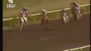 Eyvah Afgan 01082005 Elaziğ