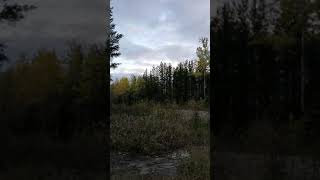 strange unknown noise caught on video Resimi