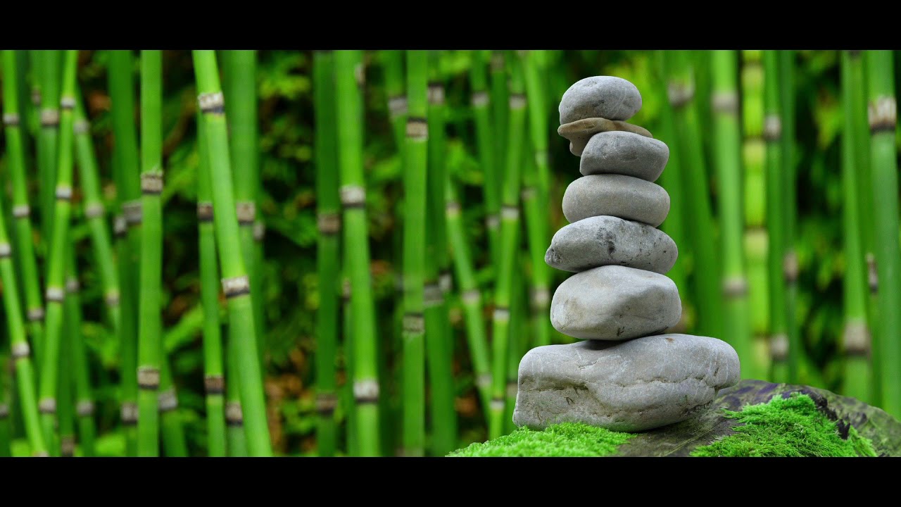 BAMBOO WATER FOUNTAIN Relax & Get Your Zen On, White Noise Birds