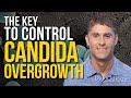 The Key to Controlling Candida Overgrowth