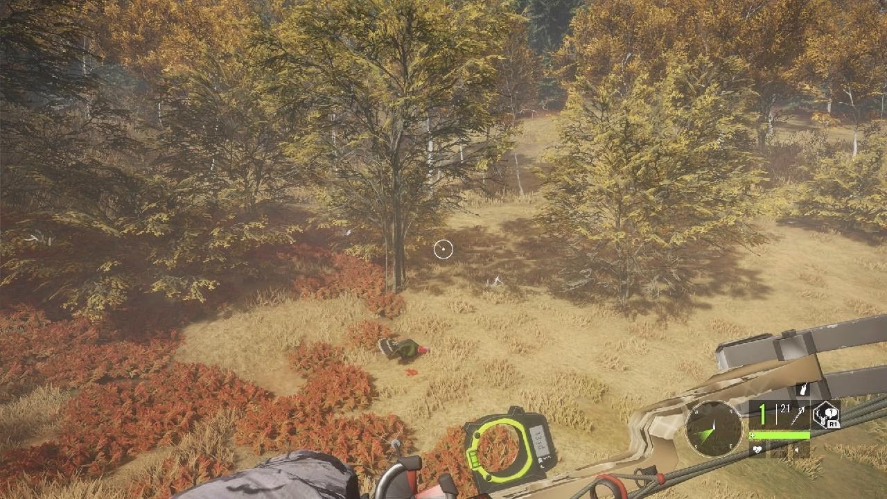 theHunter Call of the Wild.My Favorite Way To Turkey Hunt In COTW