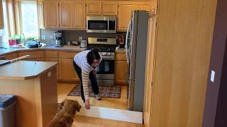 Tails Up Dog Training: Home Edition! Keep your dogs out of the kitchen!