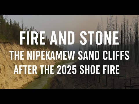 Fire and Stone: The Nipekamew Sand Cliffs After the 2025 Shoe Fire