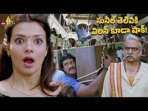 సునీల్ తెలివికి విలన్ కూడా షాక్! Maryada Ramanna | Telugu Movie Comedy Scenes | Saloni | Nagineedu
