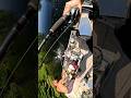 ANGRIEST MUSKIE freaks out at the net #fishing #musky #fish #canada #nature