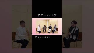 アヴェ・マリア / F.シューベルト arr.堀井正司 | Ave Maria / F. Schbert arr.TadashiHorii 【カルテットジェイジー | quartetJG 2026】