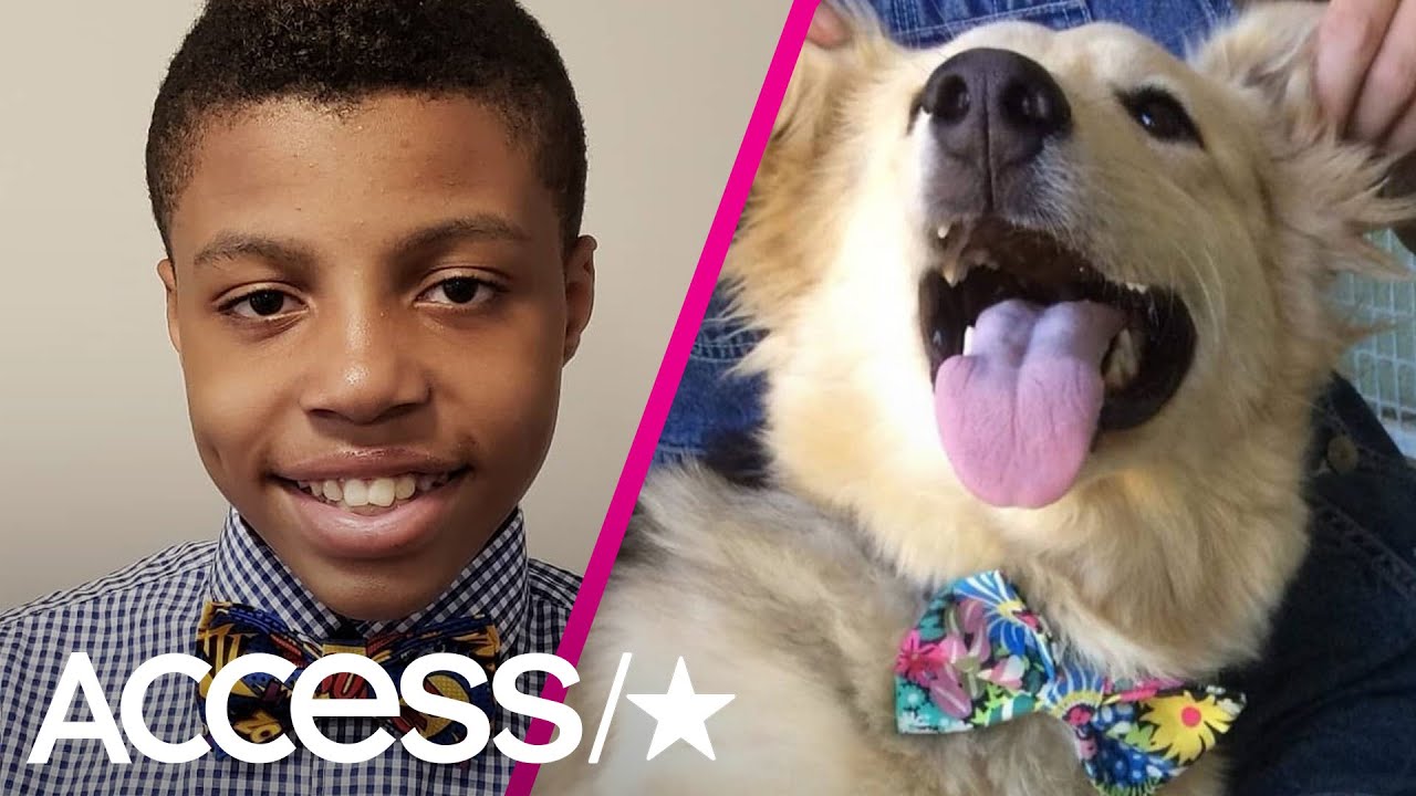 12-Year-Old Boy Makes Custom Bow Ties To Help Shelter Dogs Get Adopted