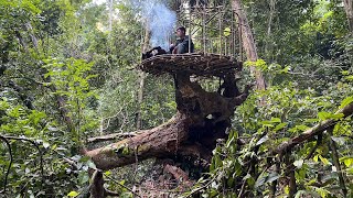 Solo Bushcraft: Build a shelter on the roots of a giant tree. Survival in the tropical forests.