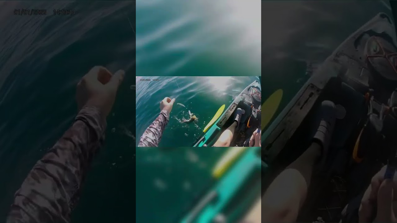 Kayak Calico/sand bass fishing