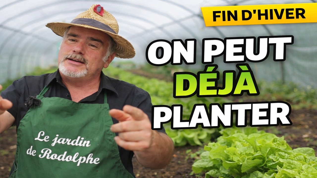 Planter ses premières salades très tôt : la méthode simple pour récolter avant le printemps