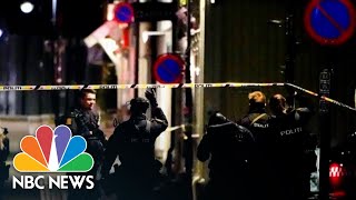 Man Arrested After Deadly Bow & Arrow Attack in Norwaya