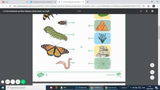 How to type and write on a Twinkl PDF screenshot 2