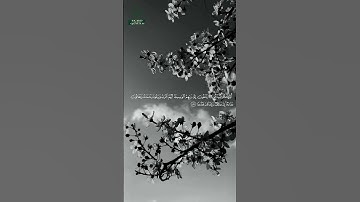 سورة الإسراء • مكية • بصوت هاني الرفاعي | عدد الآيات: 111 #قرآن #Quran #تلاوة #قرآن_كريم #الإسراء