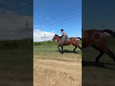 Халиф 🚀 Инаход