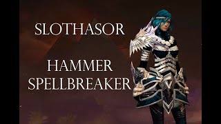 Slothasor - Hammer Spellbreaker - Pug Guild Wars 2 Raids