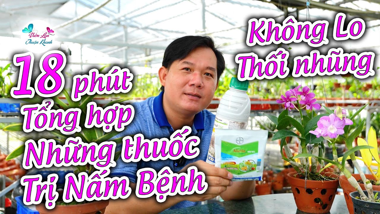 TỔNG HỢP NHỮNG THUỐC TRỊ NẤM BỆNH HOA LAN MỚI NHẤT | KHÔNG LO THỐI NHŨNG #cachchamsochoalan