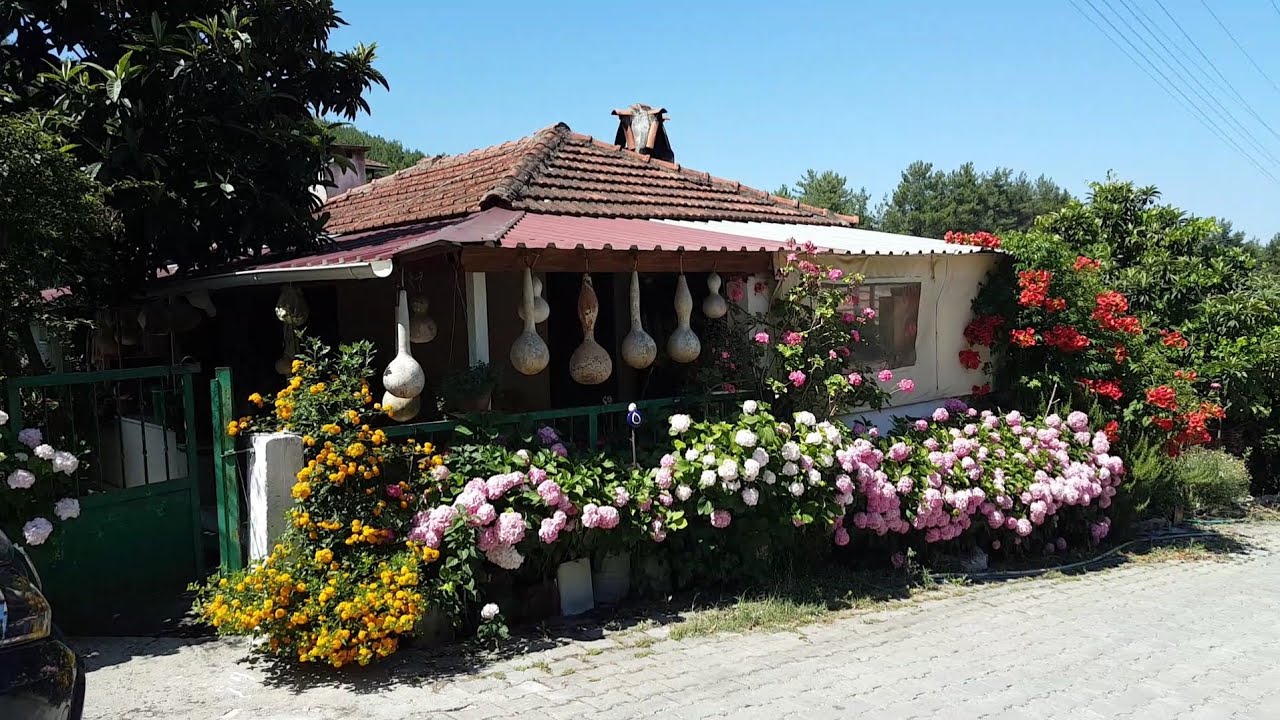 BURDA İNSAN HASTALANMAZ / CENNET BAHÇESİ