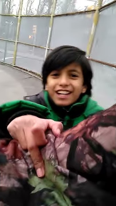 9-10-21-vine-youtube