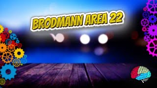 Brodmann area 22 - Know It ALL 🔊✅