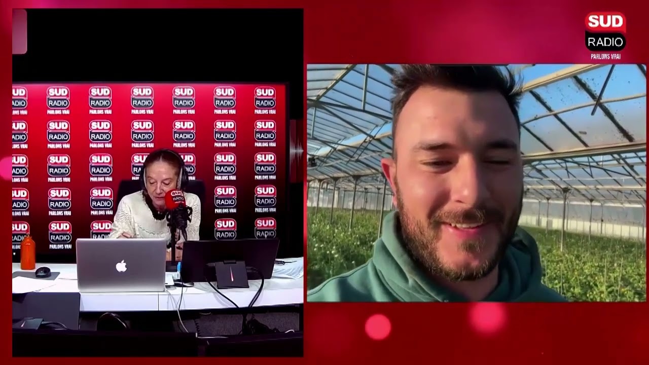 Quelles fleurs offrir au nouvel an ? - Tous au jardin