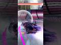 Buggati Veyron ||#shorts #viralshorts #toyota #gaming #fh5 #gaming #sportscar #car