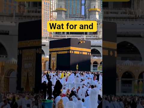 Https Vm Tiktok Com ZSH3ovQc7b2vL E4Srq This Post Is Shared Via 