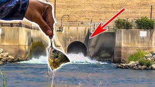 Fishing Spillways PAYS off BIG Time!! No One Will Believe US!