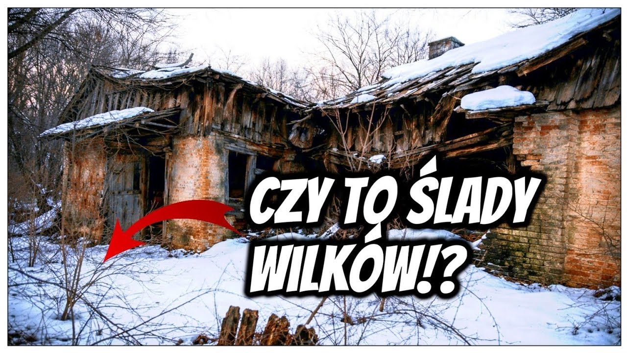 OPUSZCZONY DOM ZE SPRZĘTEM. CZY TO ŚLADY WILKÓW!?  