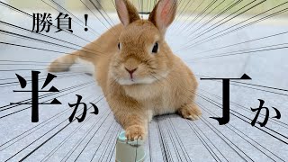 それでは参ります！ #791
