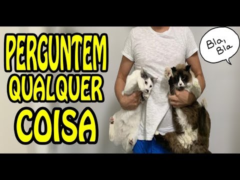 Minha primeira aparição? Perguntem o que quiserem! - Minha primeira aparição? Perguntem o que quiserem!
