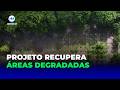 REFLORESTAMENTO COM CASTANHAS AJUDA A TRANSFORMAR ÁREAS DEGRADADAS