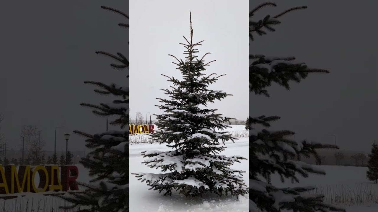 Отдельный мир 🏞️ A World Apart