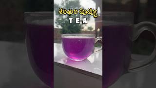 Herbal Purple Tea 🍵