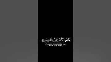 أذلك خير نزلا أم شجرة الزقوم | #كرومات_قرآن للقارئ رعد الكردي.