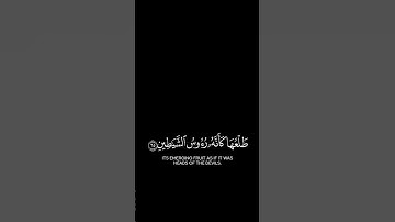 أذلك خير نزلا أم شجرة الزقوم | #كرومات_قرآن للقارئ رعد الكردي.