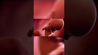 जब गर्भ में होता है “प्यारा/भाग्यशाली बच्चा”, तो माँ में दिखते हैं ये संकेत! 🤰✨