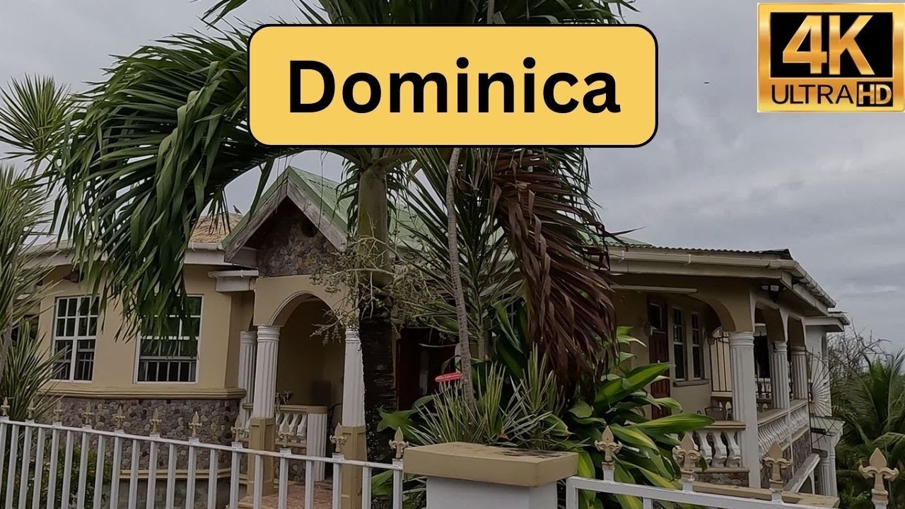 Driving from Roseau, Dominica to the Place I Stayed