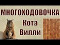 Кот Вилли и его Многоходовочка