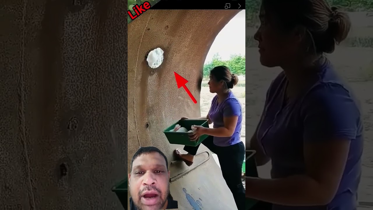 Cute baby rabbits giving birth...respect 100 video rabbits, amazing baby rabbit, 